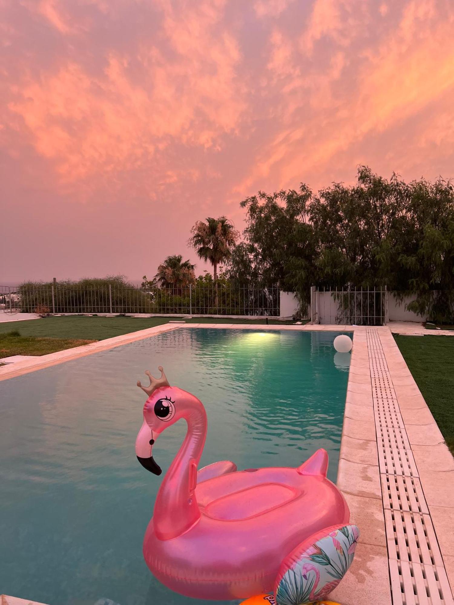 Chez Hayet Hotell Hammamet Eksteriør bilde